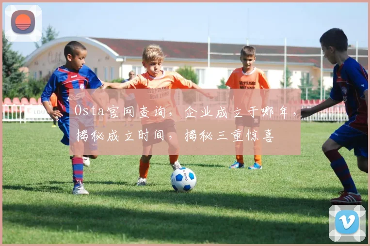 Osta官网查询，企业成立于哪年，揭秘成立时间，揭秘三重惊喜