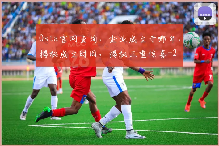 Osta官网查询，企业成立于哪年，揭秘成立时间，揭秘三重惊喜